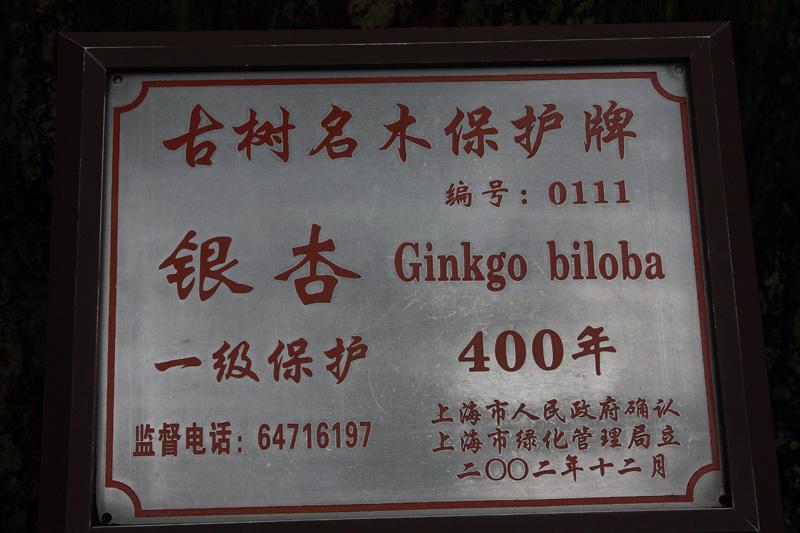 687-Shanghai,16 luglio 2014.JPG